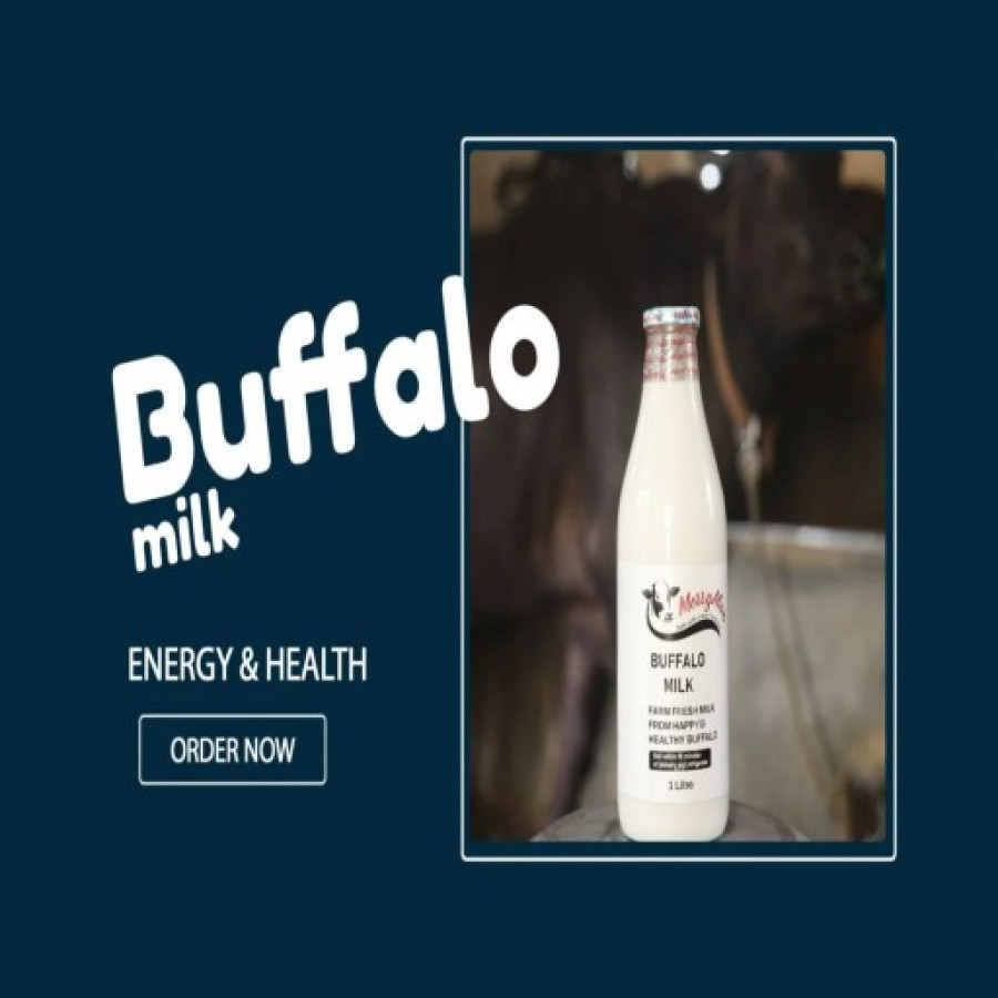 Murrah  A2 Buffalo Milk 500 ml